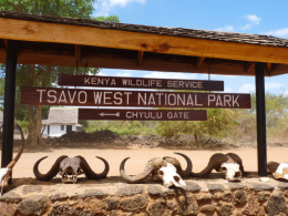 Tsavo-National-park.png