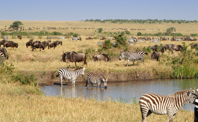 Maasai-Mara-National-Park-1.png
