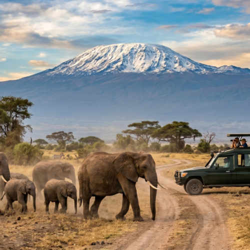 amboseli package