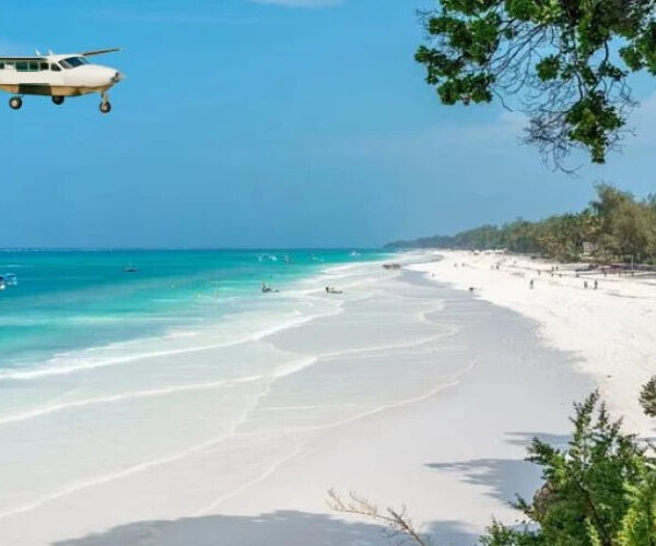 beach flyin 600x500