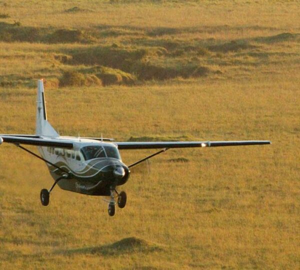 masai mara flyin 600x540