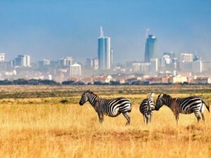 Best Excursions Company In Kenya