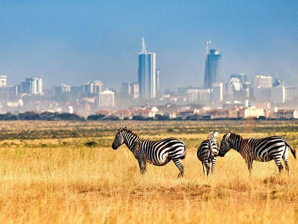 Best Excursions Company In Kenya nairobi national park 600x450