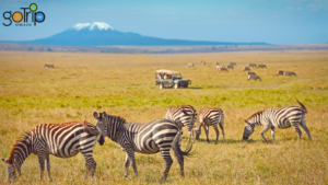 amboseli national park tours (5)