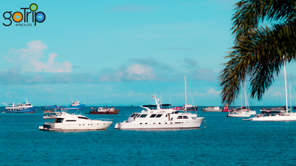 coast tours