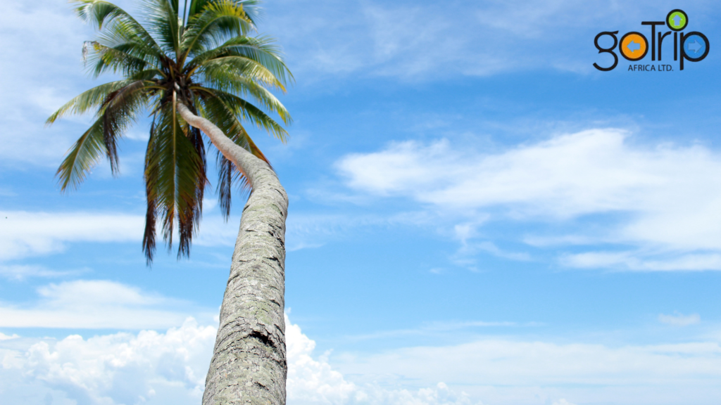 coast tours (2)
