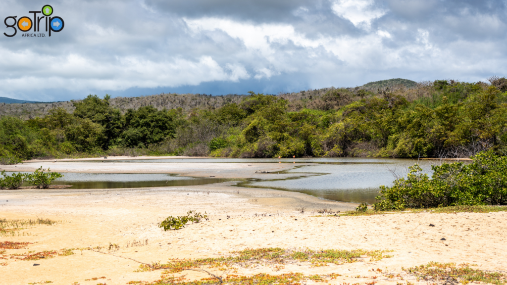 lamu archipelago 2