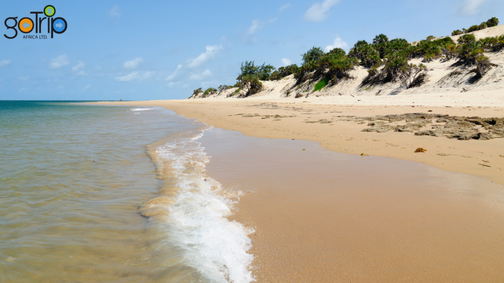 lamu archipelago 3