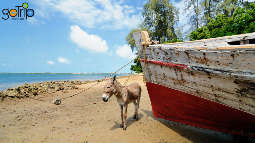 lamu archipelago 4
