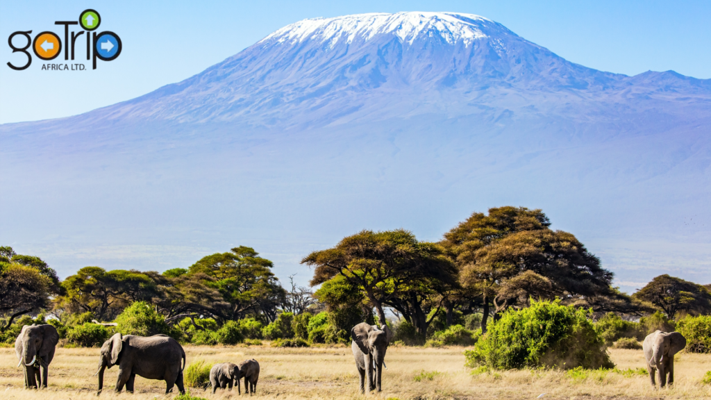 mt.kilimanjaro,tanzania (2)