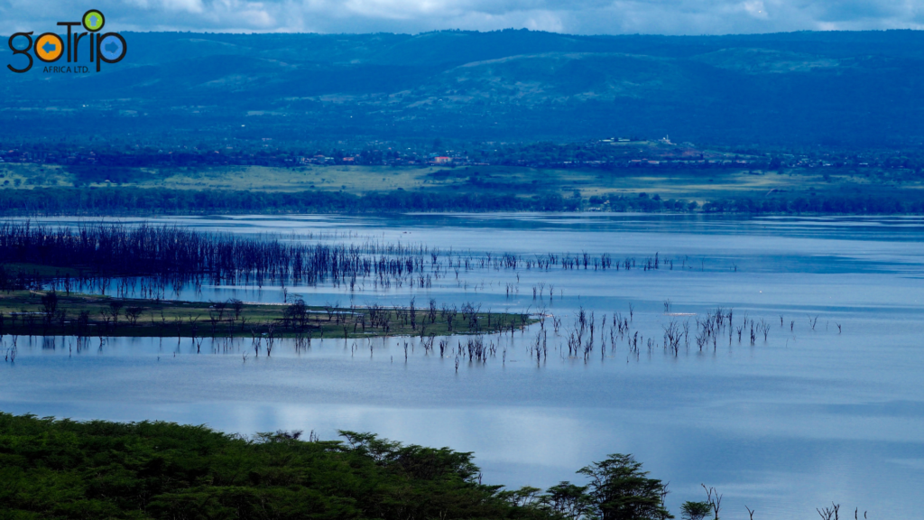 nakuru 4