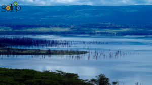Best Lake Nakuru Safari Companies in Kenya