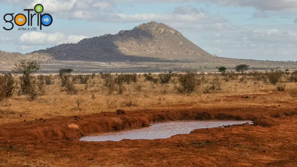 tsavo 2