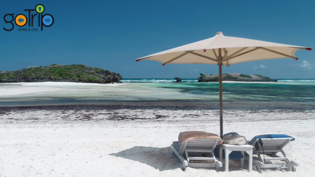 watamu marine national park (4)