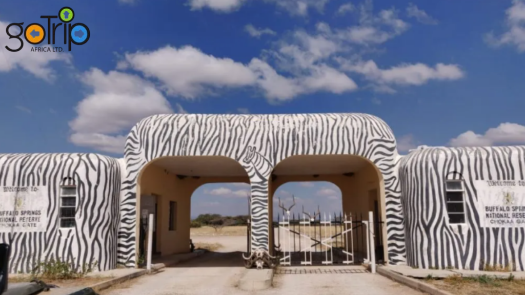 buffalo springs (1)