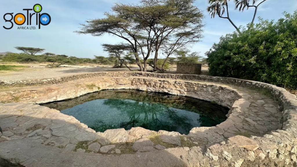 buffalo springs