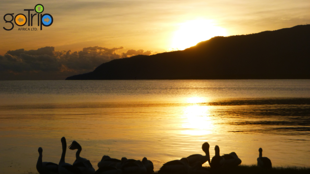 lake victoria (2)