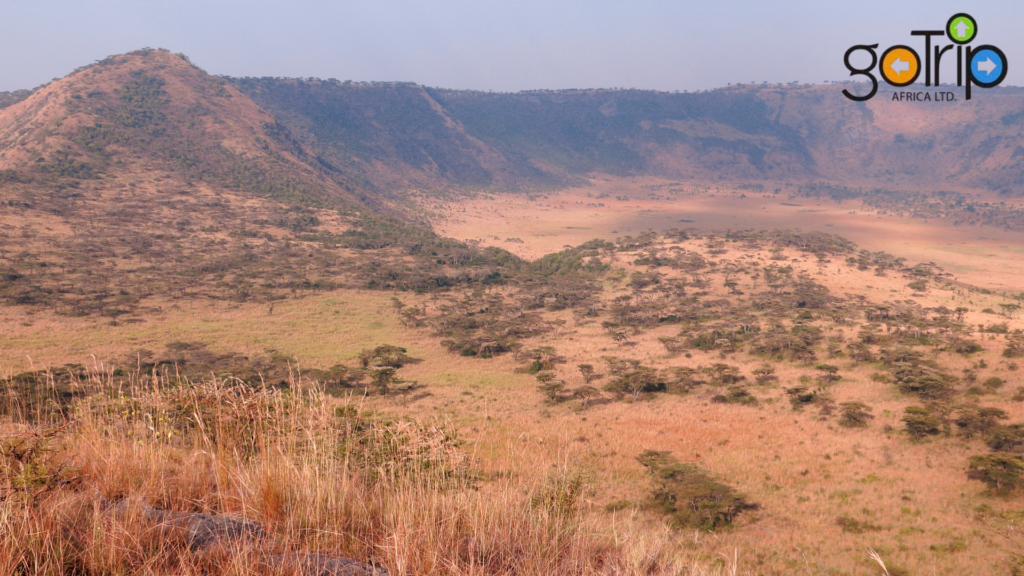 queen elizabeth national park (2)