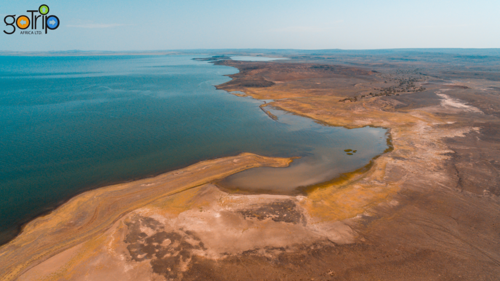 turkana 1