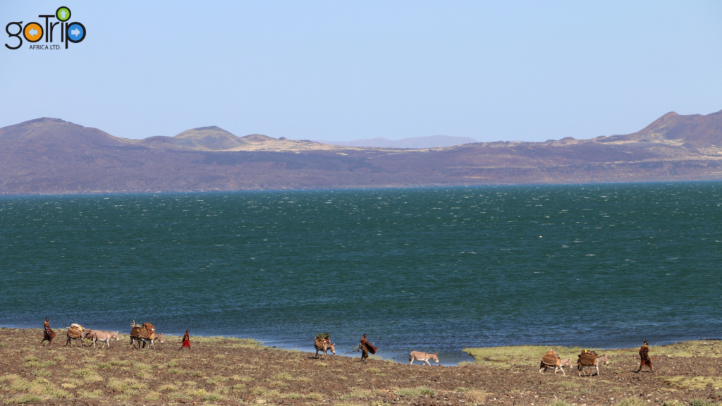 turkana 2
