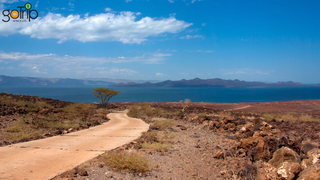 turkana 4