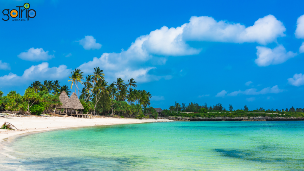 zanzibar 2
