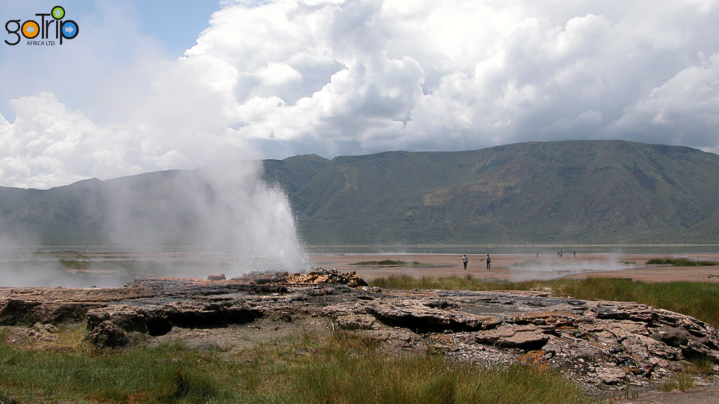 bogoria 1